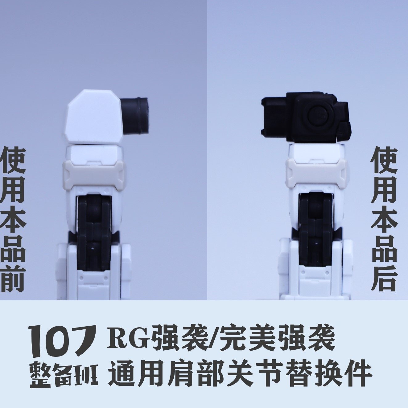 107 Series RG Strike Perfect S - đánh giá và giá Model Kit Rg
