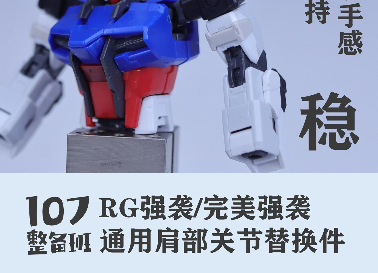 107 Series RG Strike Perfect S - đánh giá và giá Model Kit Rg